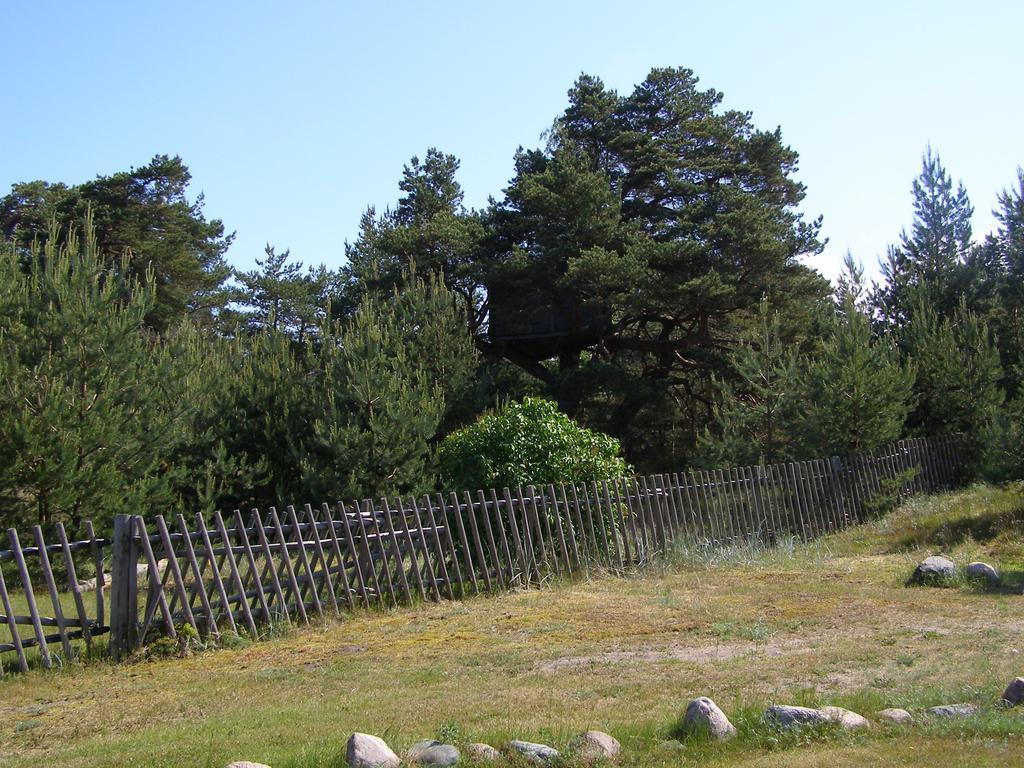 Vila Treimani Rannamaja Exteriér fotografie